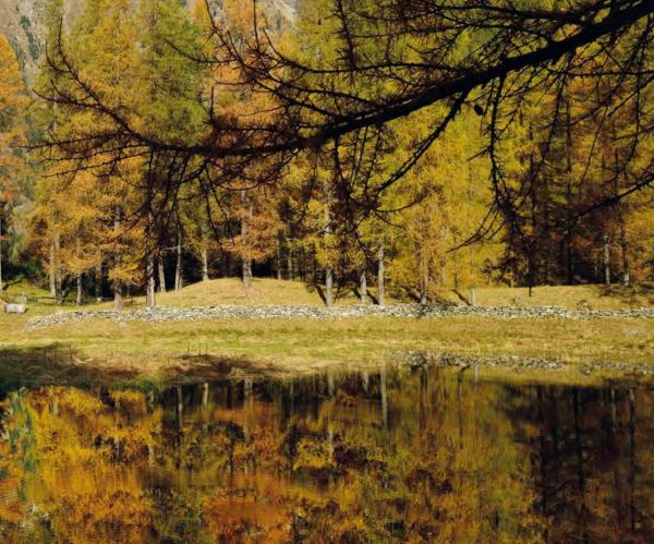 autunno