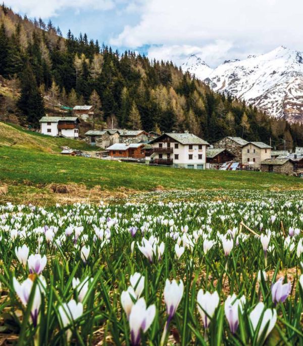 corsa in montagna