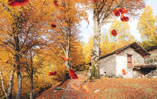 esperienze nella natura